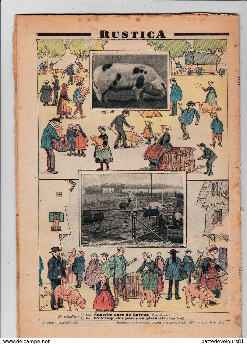 RUSTICA 1926 Foires De Bretagne Tri Poule Pondeuse Hen Galinacée Galleon Poultry Cochon Porc Pig (3 Scans) - 1900 - 1949