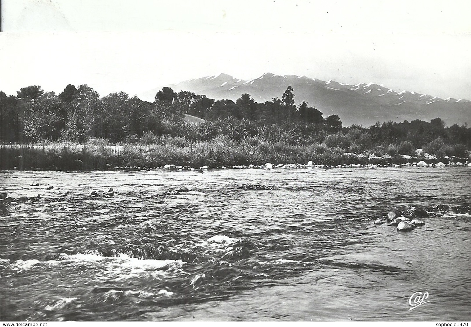 PYRENEES ORIENTALES - 66 - LE BOULOU - CPSM PF NB - Paysage Sur Le Tech Et Le Canigou - Altri & Non Classificati