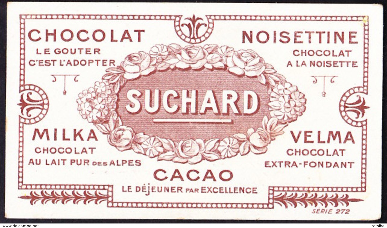 CHROMO Chocolat SUCHARD   CLEMATITE GRAINE CLEMATIS FLEURS FLOWERS      Serie 272 - Suchard