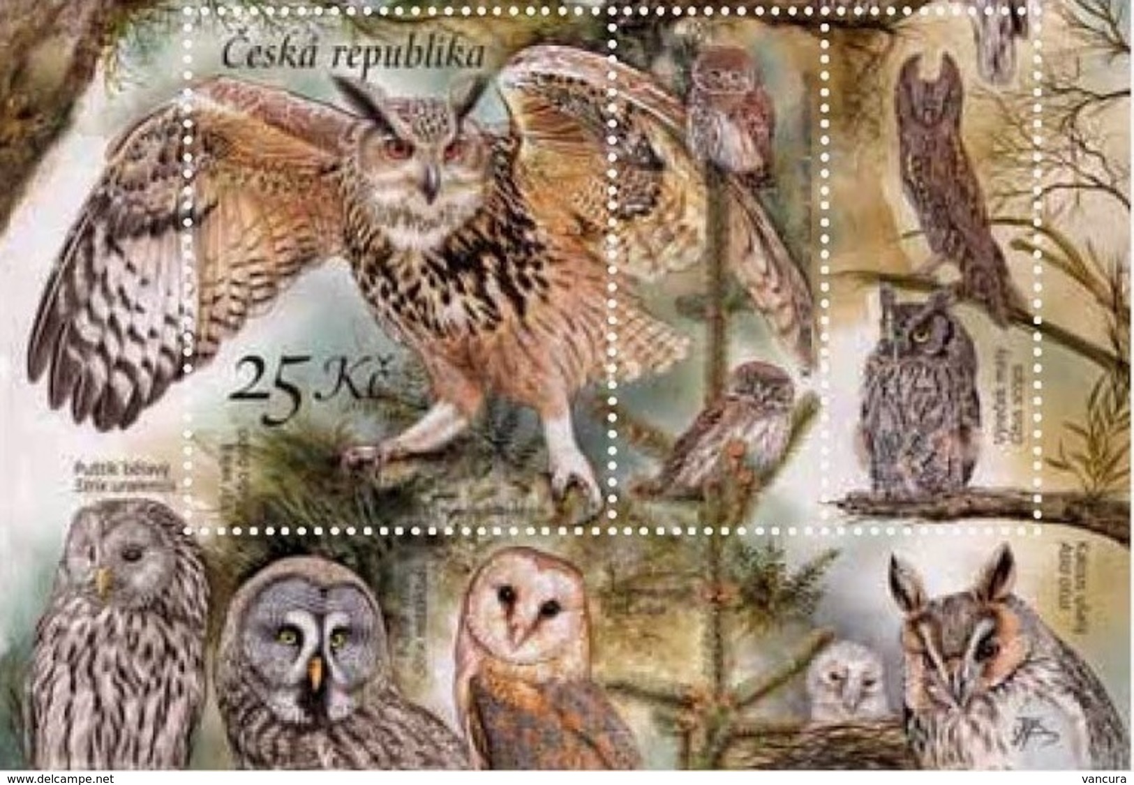 856 Czech Republic Eagle Owl 2015 - Hiboux & Chouettes