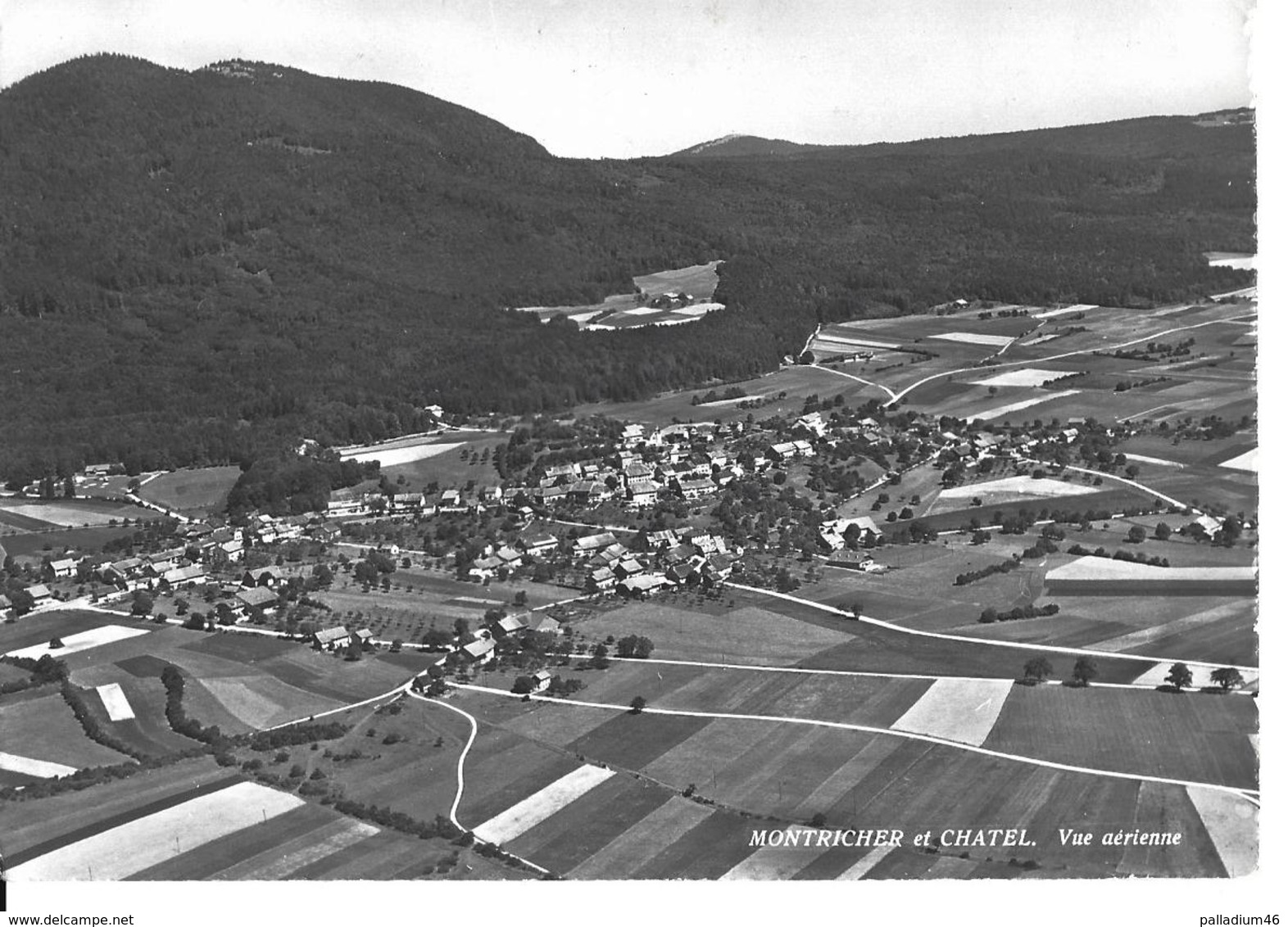 VAUD MONTRICHER ET CHATEL - DISTRICT DE COSSONAY - Photo DERIAZ Baulmes - Laffely Négt. - Pas Circulé NEUVE - Baulmes