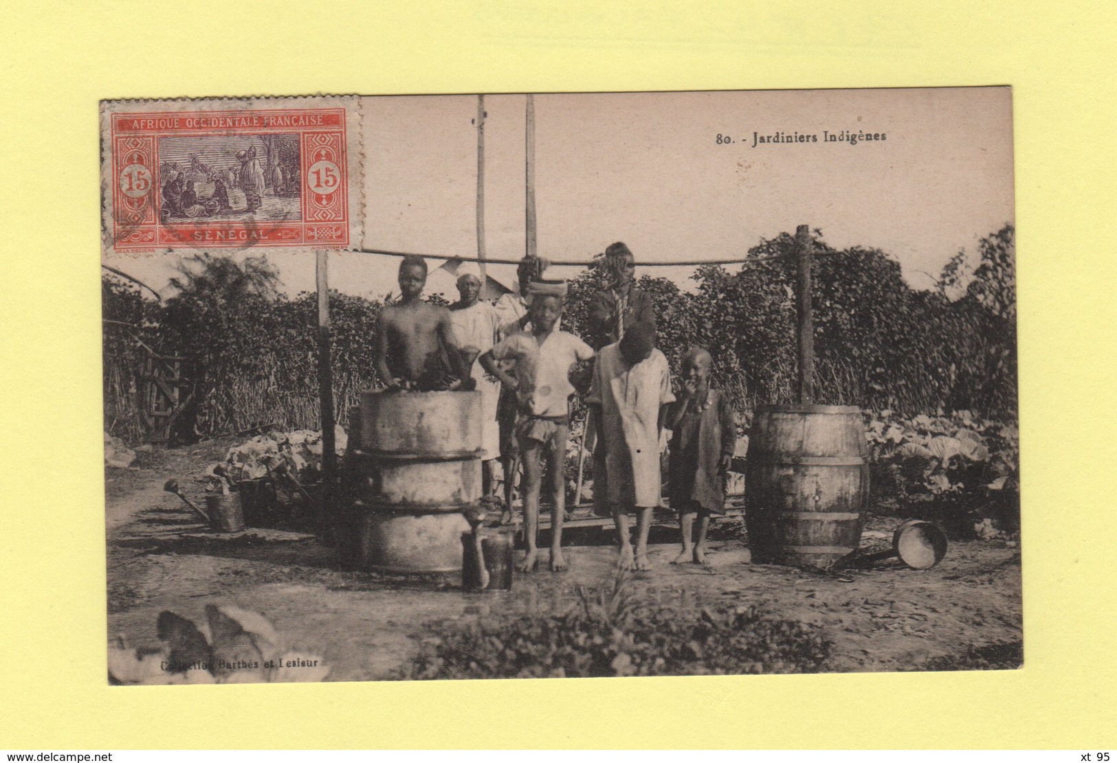 Senegal - Jardiners Indigenes - Senegal