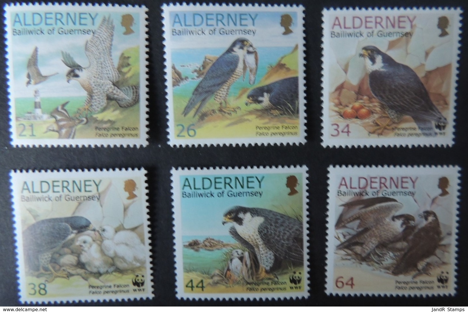ALDERNEY 2000 ENDANGERED SPECIES PERGRINE FALCON 6 VALUES MNH A140-A145 BIRDS OF PREY - Alderney