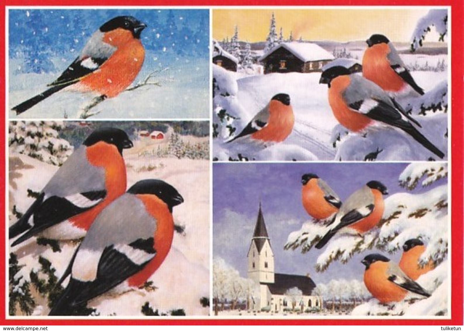 Birds - Bullfinches In Winter Landscape - Jan Bergerlind - Autres & Non Classés