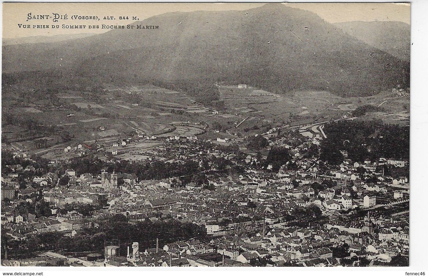 88 - SAINT DIÉ - Vue Prise Au Sommet Des Roches St Martin (A60) - Saint Die