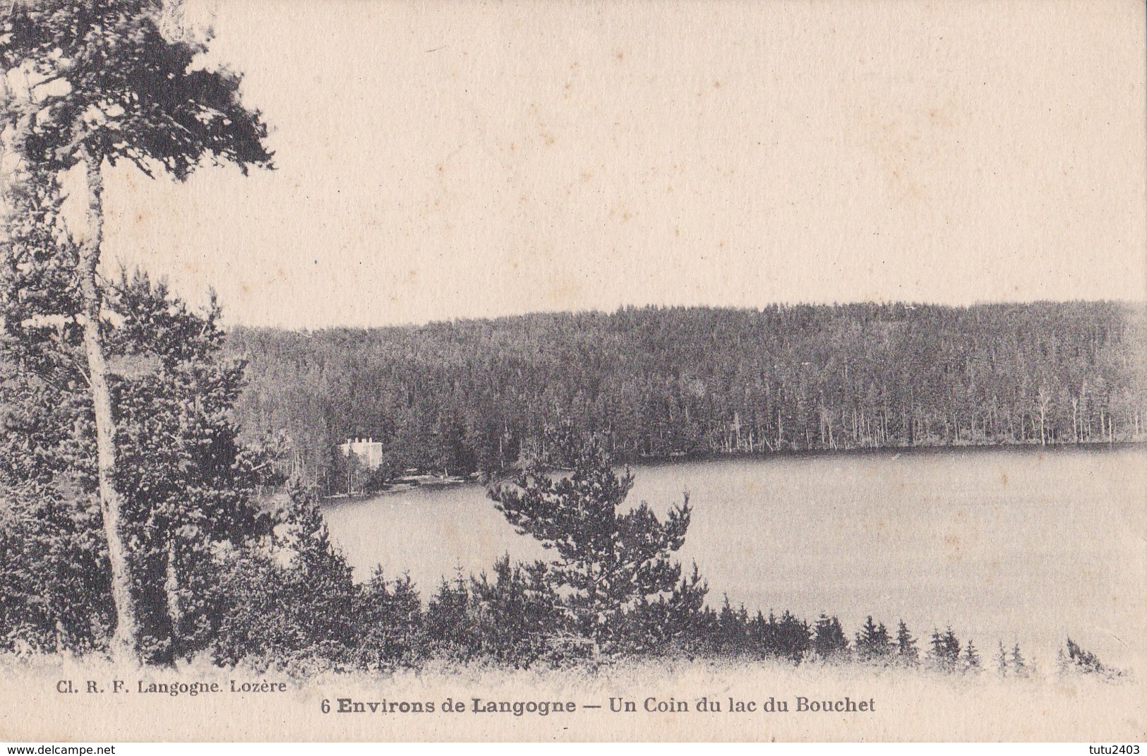 6 ENV DE LANGOGNE                               Un Coin Du Lac Du Bouchet - Langogne