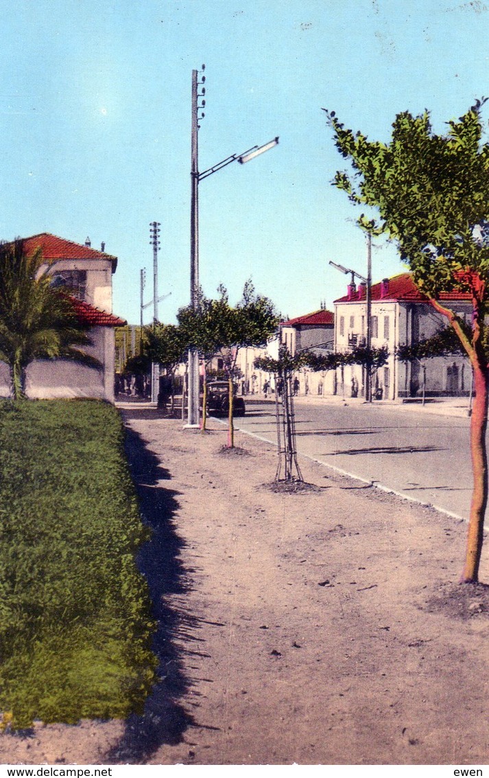 Algérie. Fondouk. La Rue Principale. - Autres & Non Classés