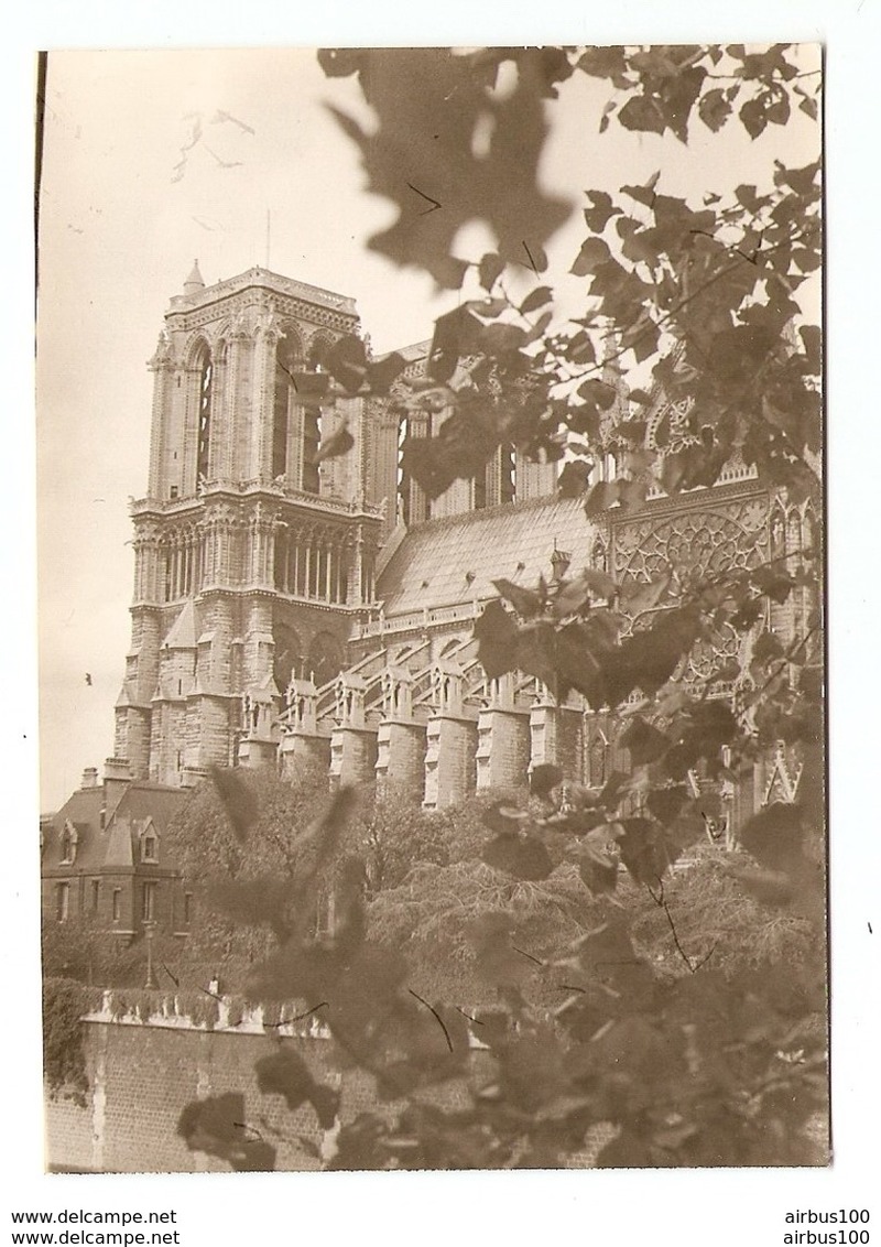 PHOTO ORIGINALE - CATHEDRALE NOTRE DAME DE PARIS - VUE COTE - BORD DE SEINE - Luoghi