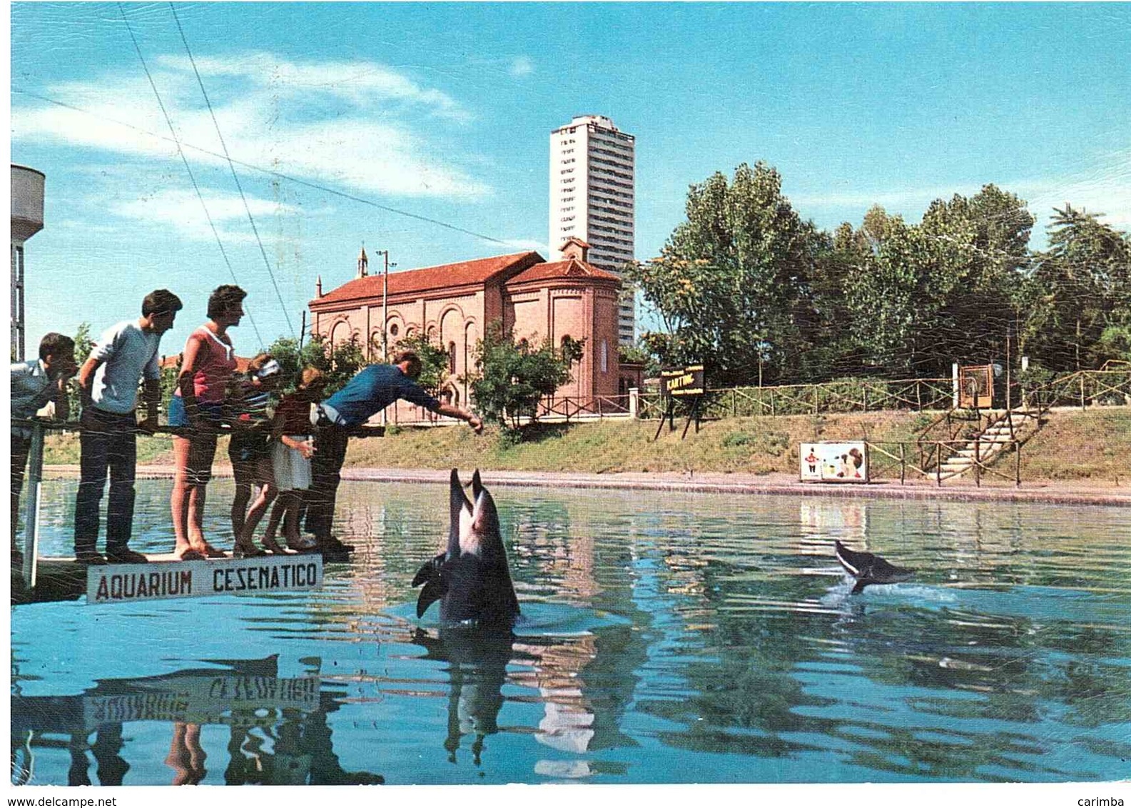 ACQUARIUM DEI DELFINI - Delfini