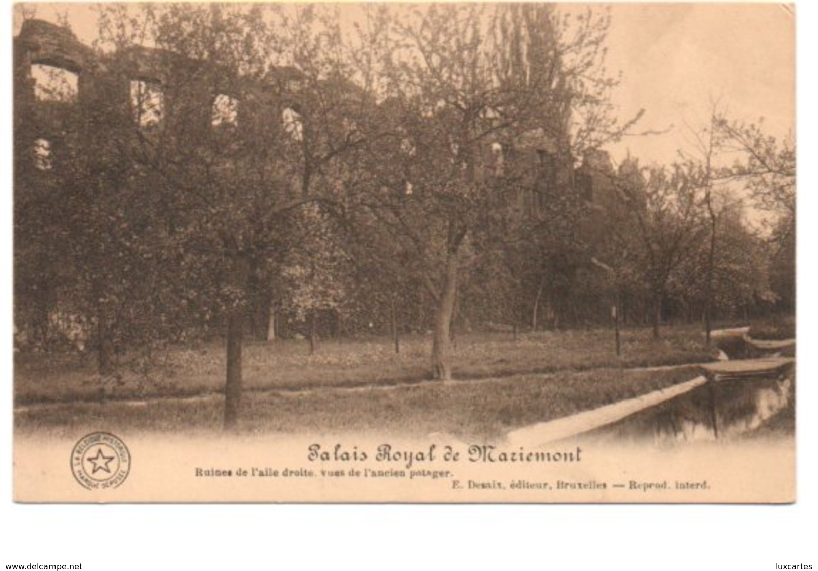 PALAIS ROYAL DE MARIEMONT. RUINES DE L' AILE DROITE.... - Autres & Non Classés