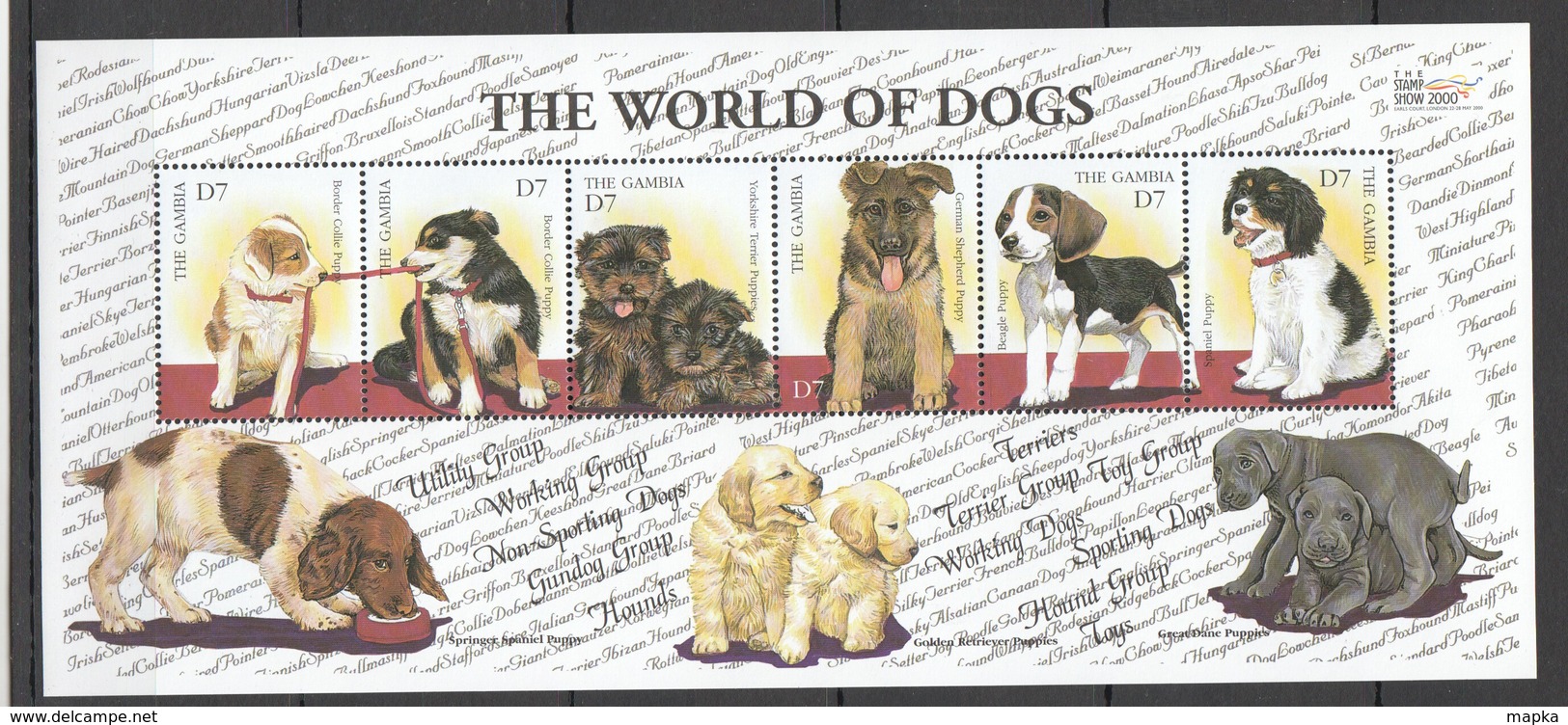 N351 GAMBIA FAUNA PETS THE WORLD OF DOGS 1KB MNH - Chiens