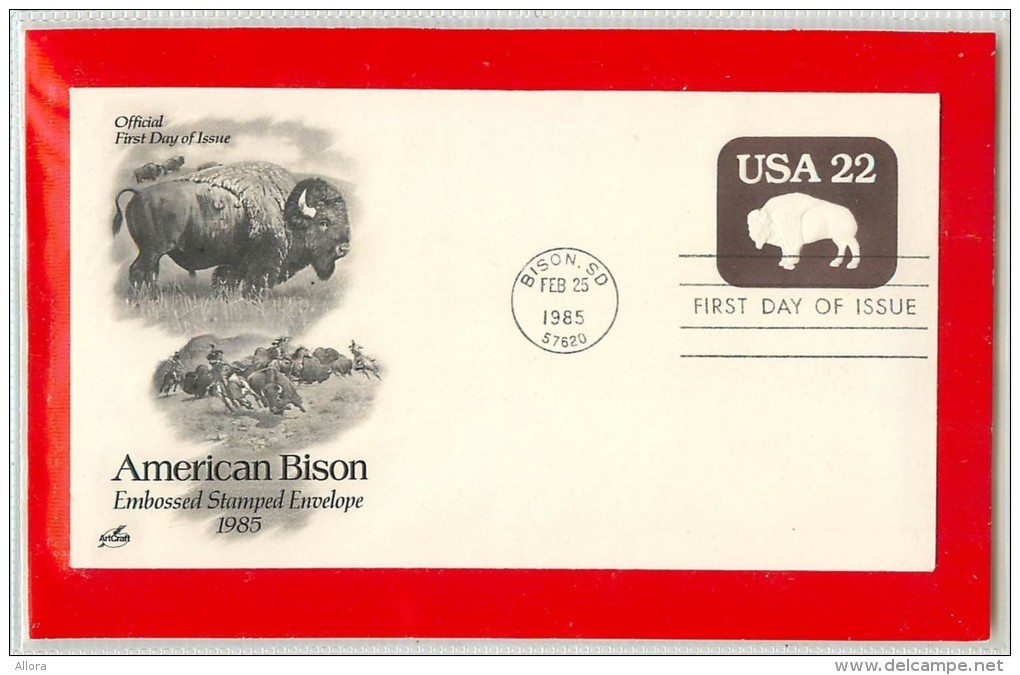 USA - Intero Postale -    AMERICAN  BISON  -  Bisonte  -  Indiani - 1981-00