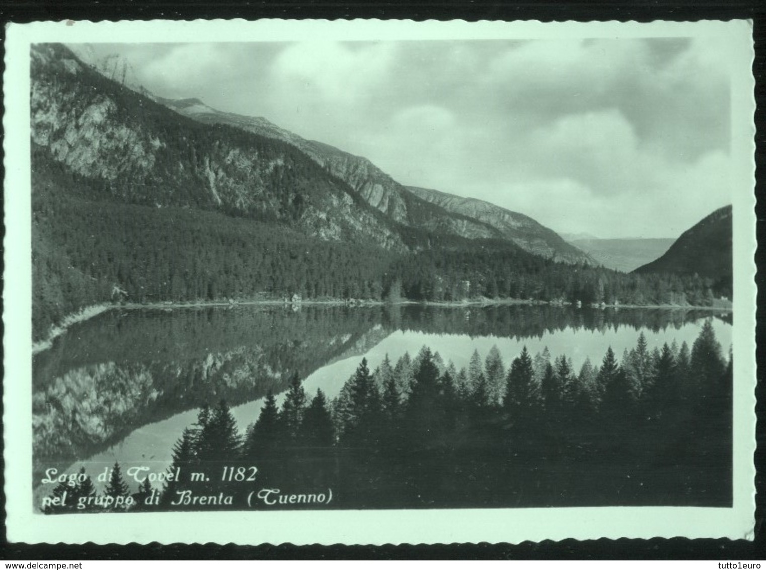 TUENNO - VILLE D'ANAUNIA (TRENTO) - 1954 - LAGO DI TOVEL - TIMBRO DEL BAR CAFFE MAISTRELLI - Trento