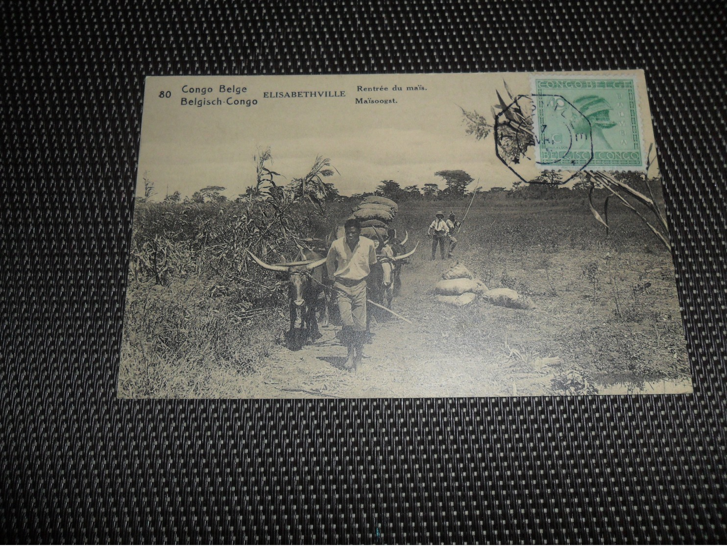 Congo Belge ( 18 )  Belgisch Kongo  -    N° 80   Achthoekige Stempel  THYSVILLE - Belgisch-Congo