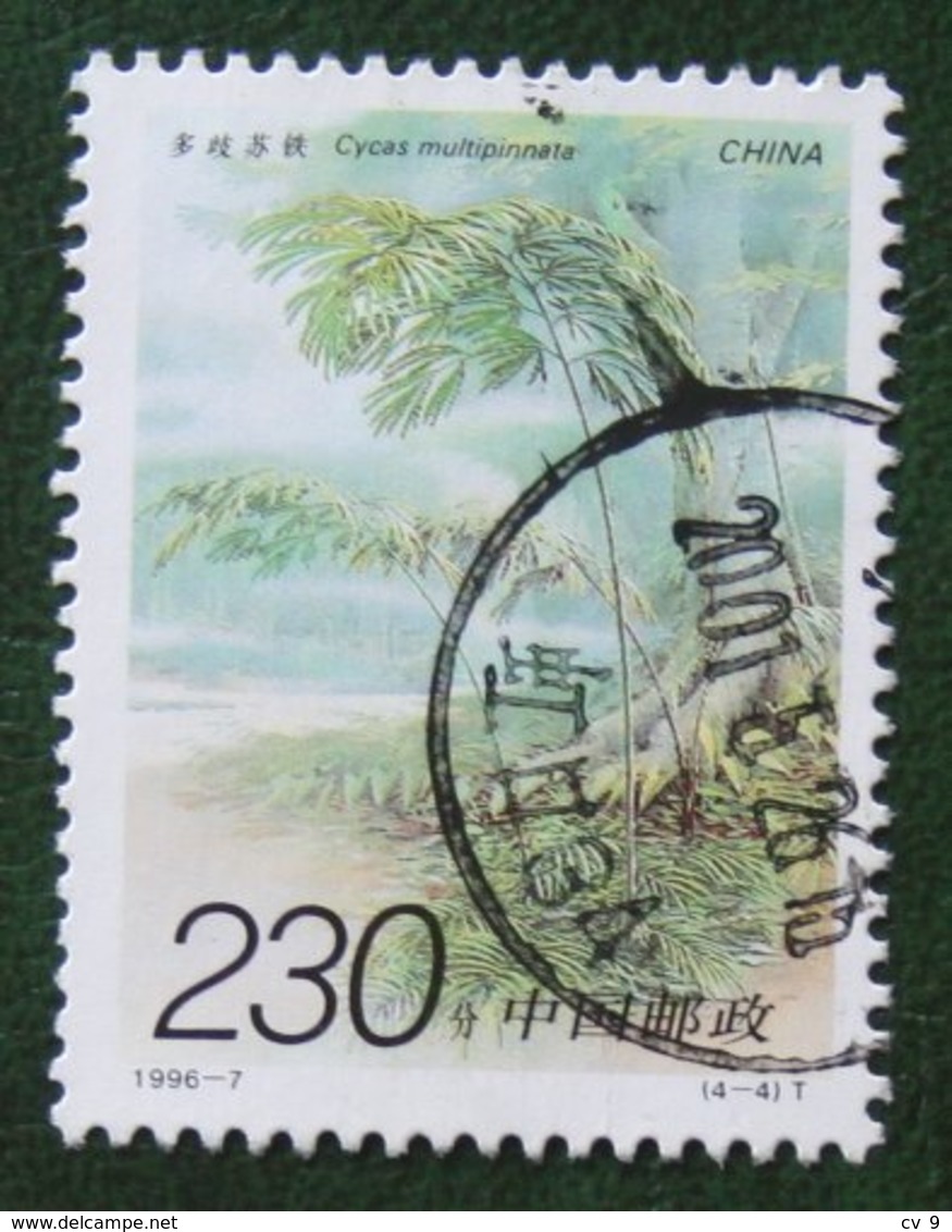 CYCAS 1996 (Mi 2711 YT 3184) Used Gebruikt Oblitere CHINA - Gebraucht