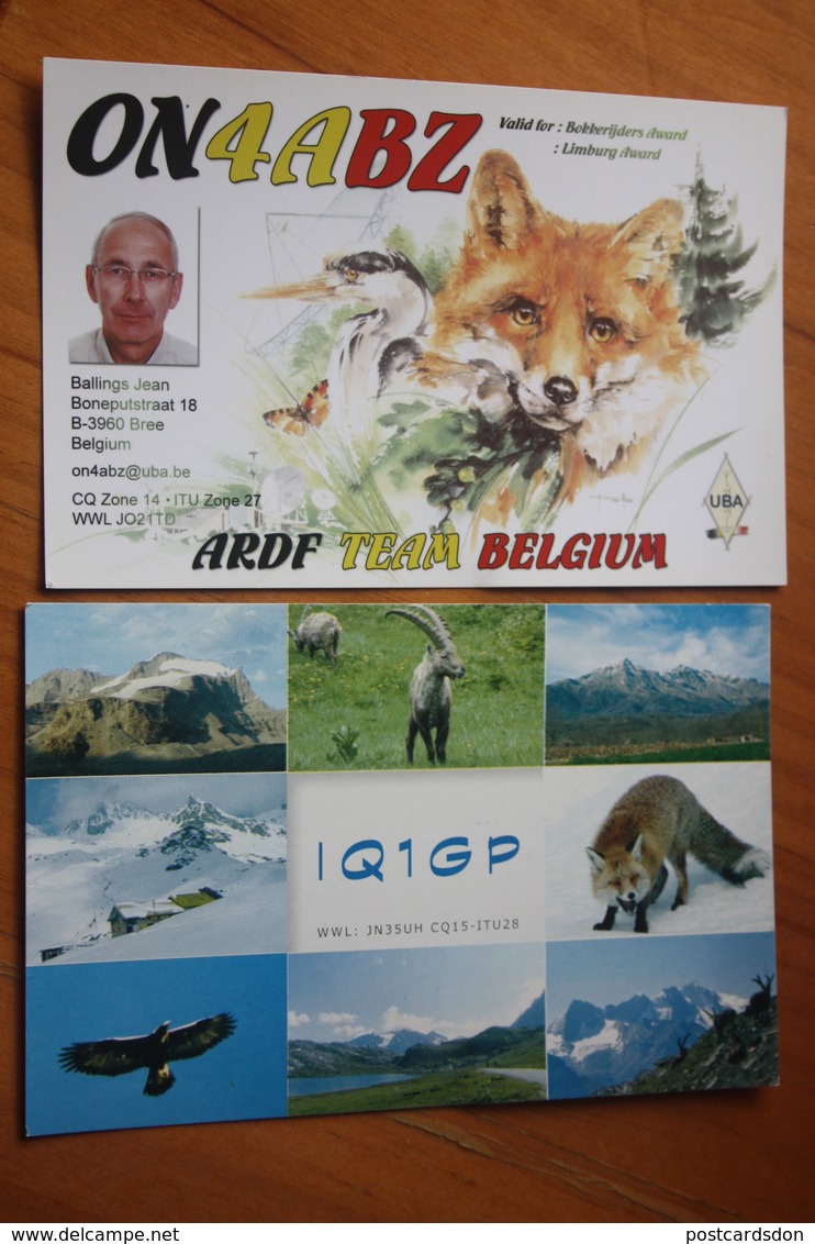 4 PCs Lot - Fuchs (Raubtier), Renard  - Fox  - Old QSL Postcard - - Other & Unclassified