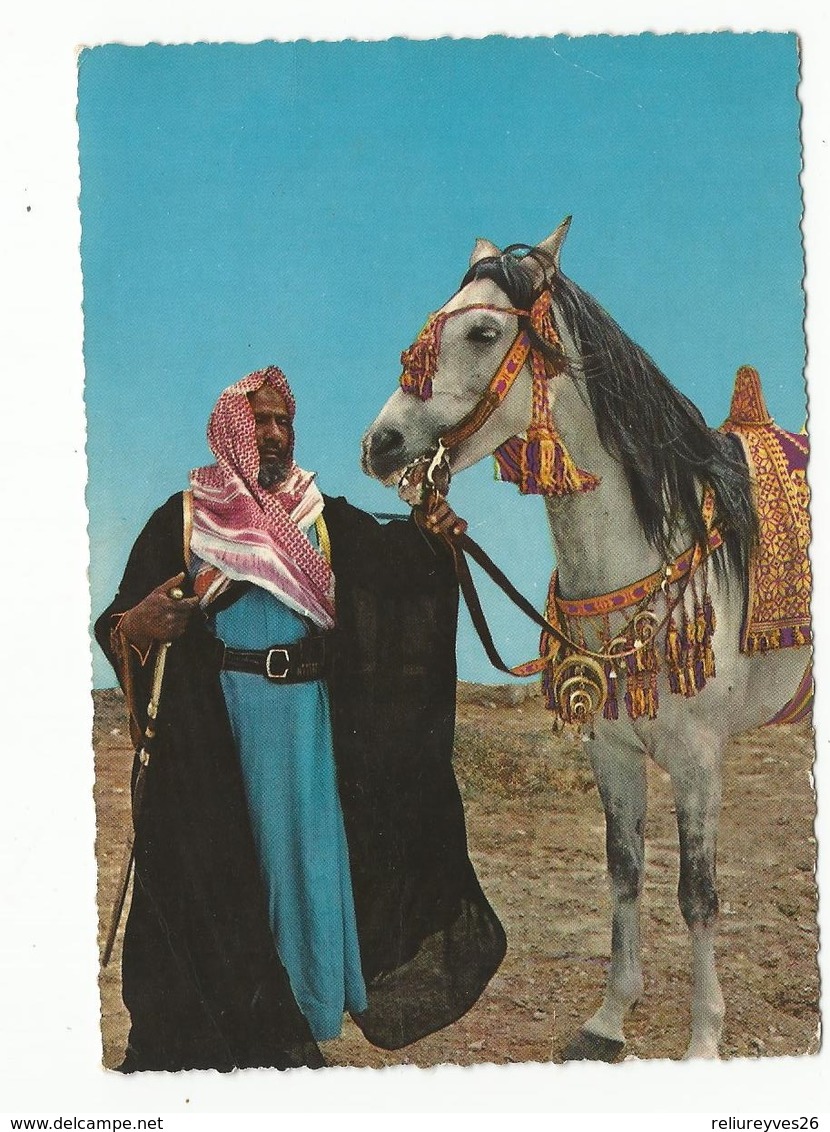 CPSM , Arabie Saoudite  ,N°1151/23, A Sheikh And His Arabian  Horse , Ed. Kruger ,Arabie Sahoudite - Arabie Saoudite