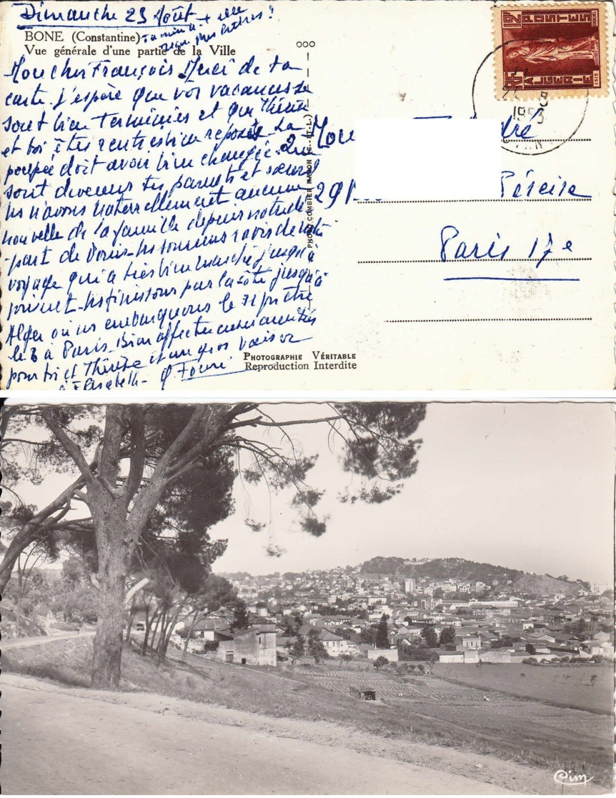 ALGERIE - Carte Postale Pour La France - Lettres & Documents