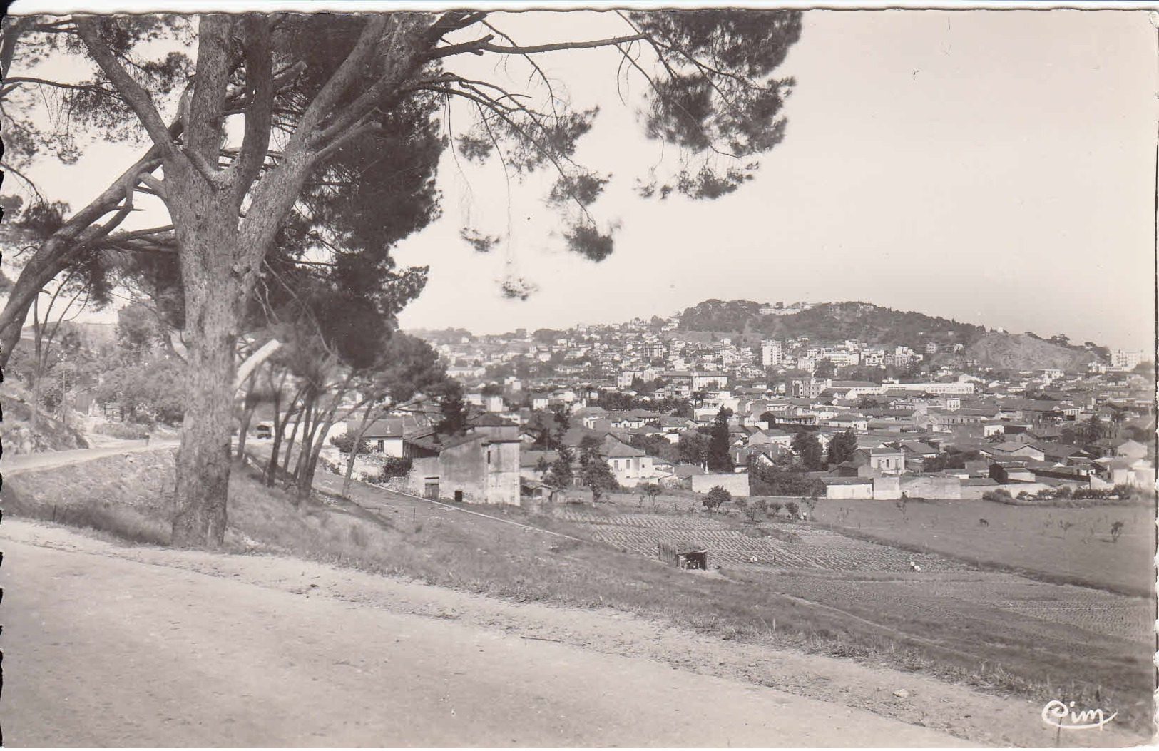 ALGERIE - Carte Postale Pour La France - Lettres & Documents