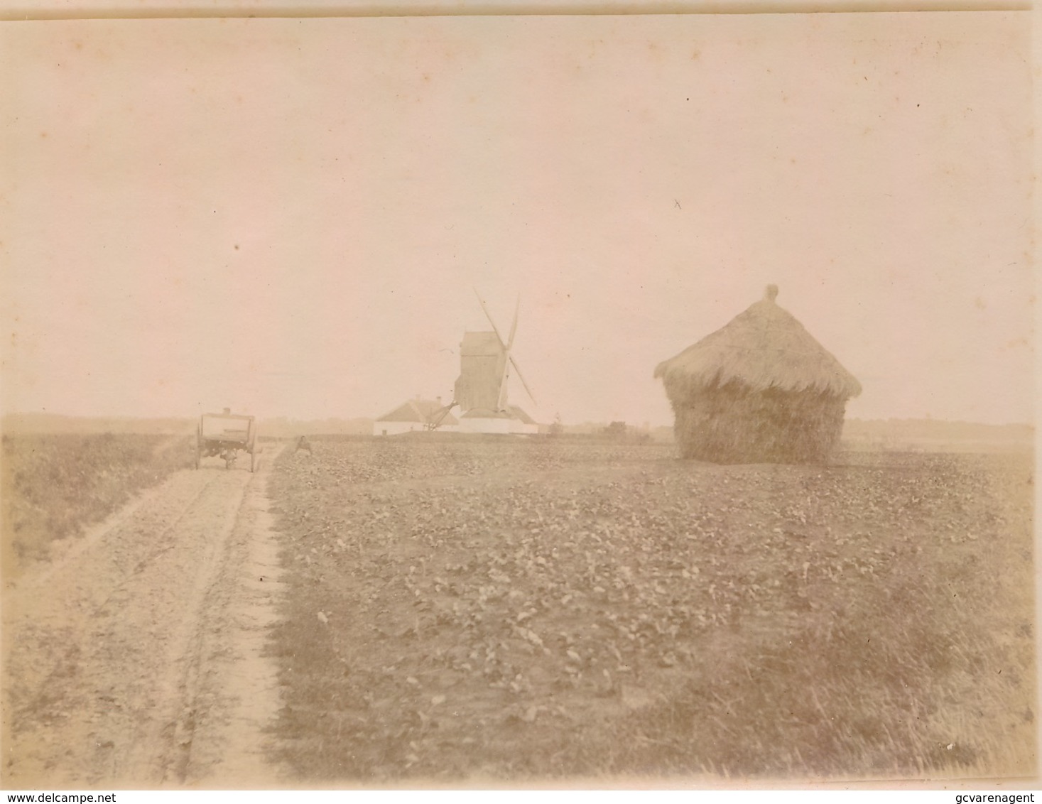 OMGEVING GENT DEURLE ST.MARTENS LATEM  - ZELDZAME FOTO 12 X 9 CM BEGIN 1900 MOLEN MET MOLENHOEVE - ZIE 4 AFBEELDINGEN - Sint-Martens-Latem