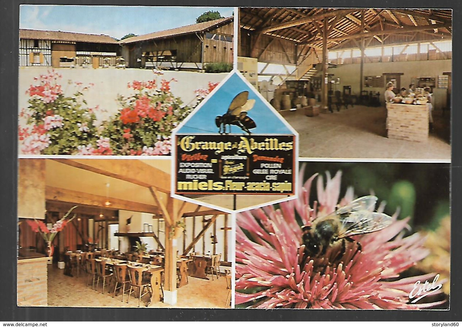 Cpm 5119932 La Grange Aux Abeilles Giffaumont 5 Vues Sur Carte - Autres & Non Classés