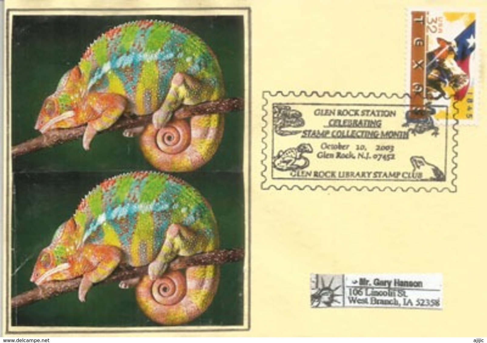 USA. Glen Rock Amphibian And Reptile Collection (New-Jersey), Special Postmark , Year 2003 - Schildkröten