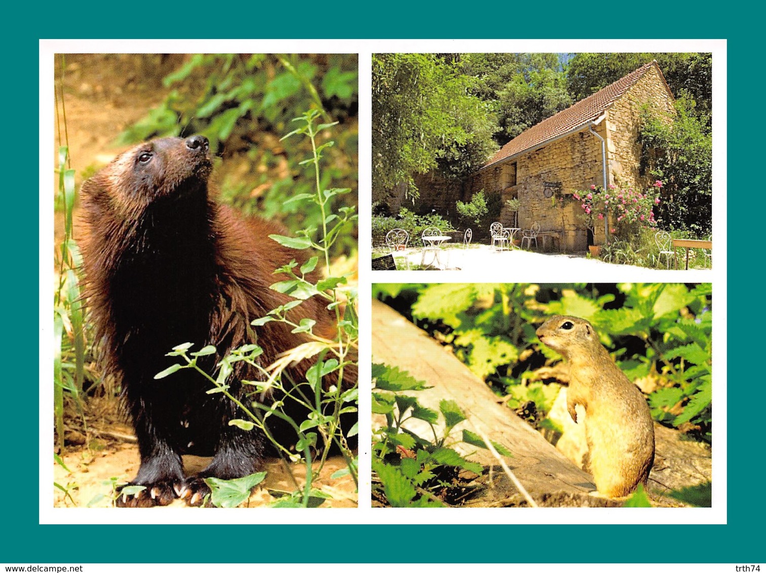 24 Calviac Reserve Zoologique Glouton - Autres & Non Classés