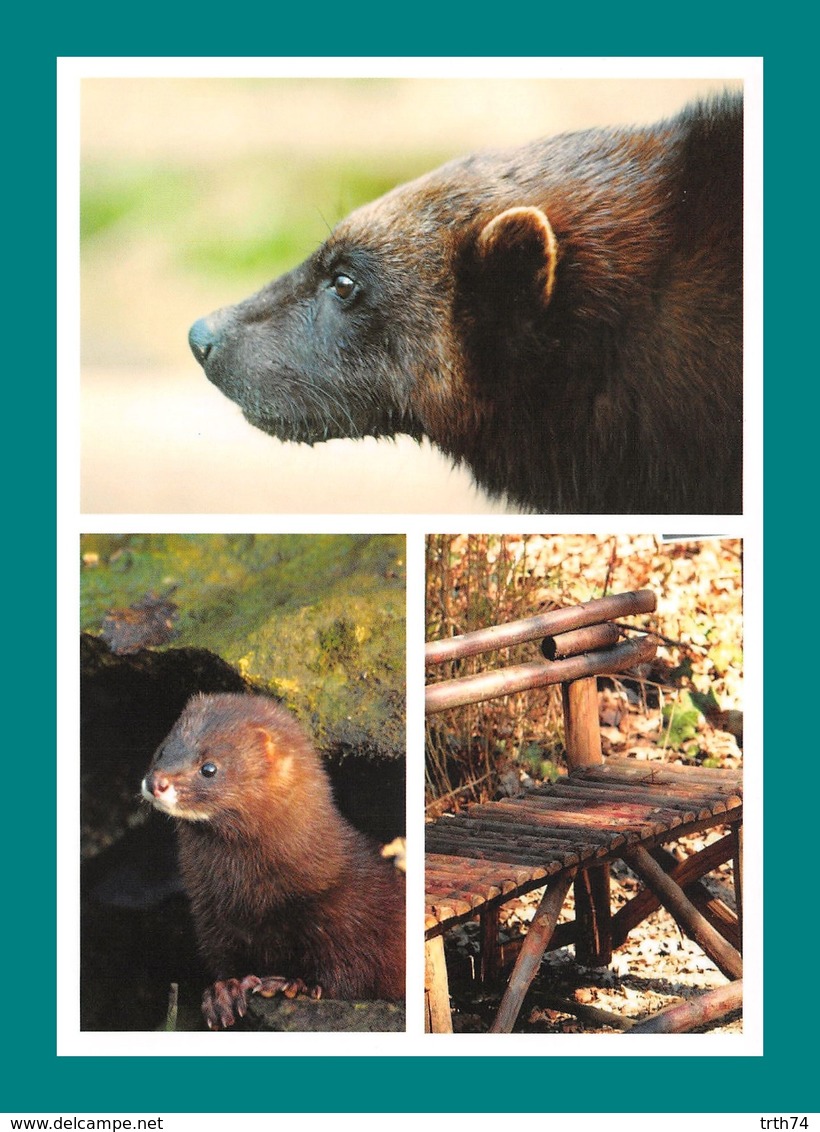 24 Calviac Reserve Zoologique Glouton Vison D' Europe - Autres & Non Classés