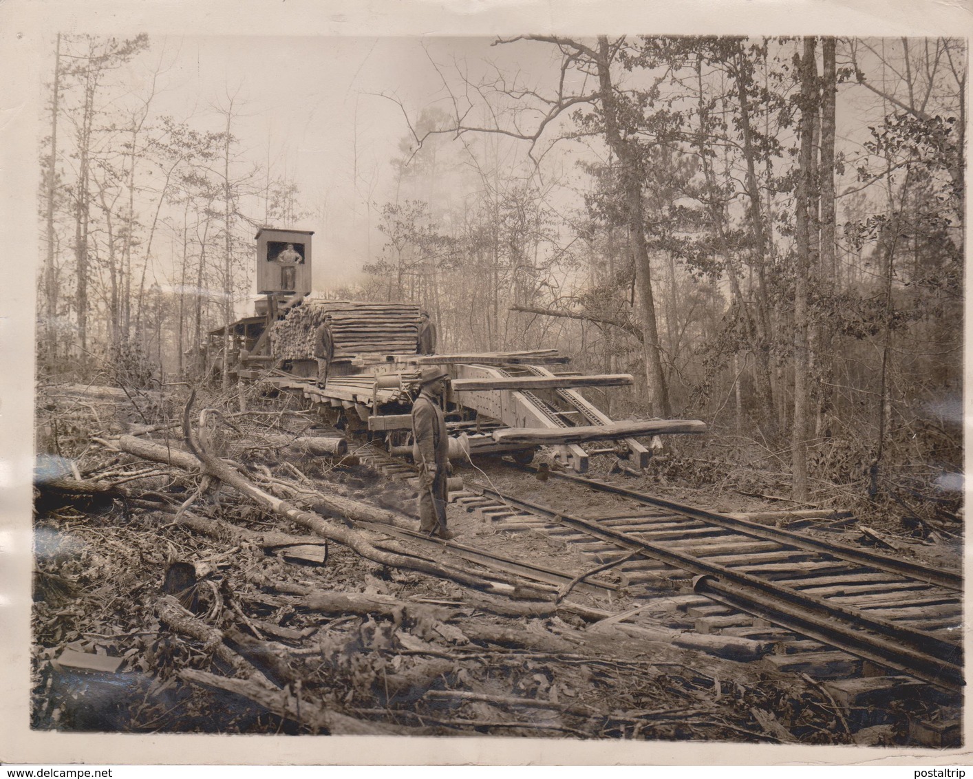 BUILDING A FOREST RAILWAY  Dendrology, Forest, Xylology, Forestry  Fonds Victor FORBIN (1864-1947) - Trenes