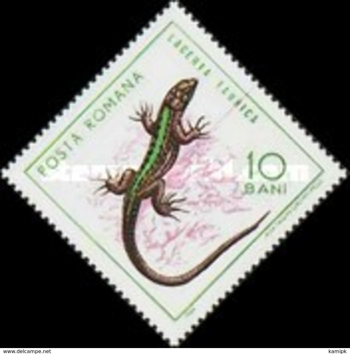 USED  STAMPS Romania - Reptiles  -  1965 - Used Stamps