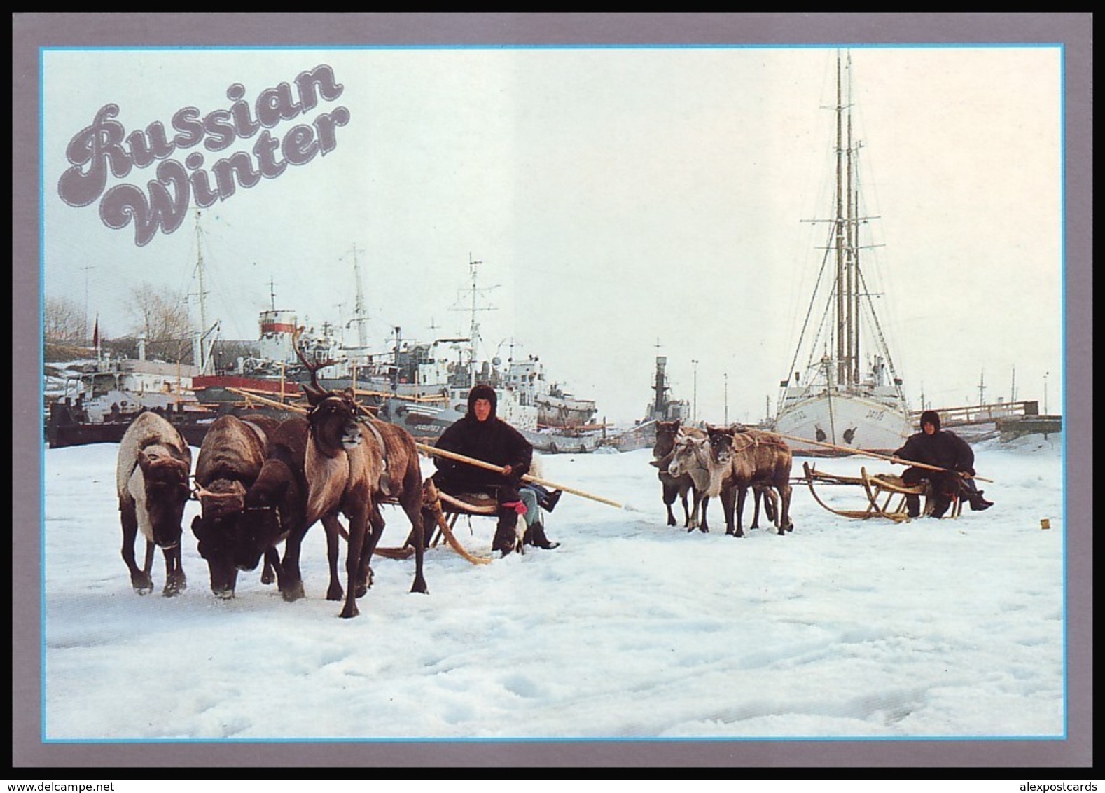 RUSSIA (USSR, 1980's). RUSSIAN WINTER. ARKHANGELSK. RIDING A REINDEER ALONG NORTHERN DVINA. Intourservice. Unused PC - Russie