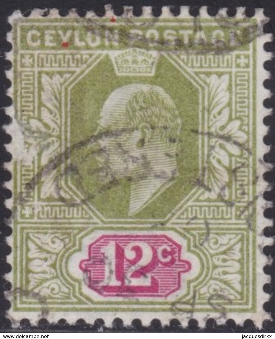 Ceylon       .   SG      .  262     .      O     .    Cancelled     .   /    .   Gebruikt - Ceylon (...-1947)