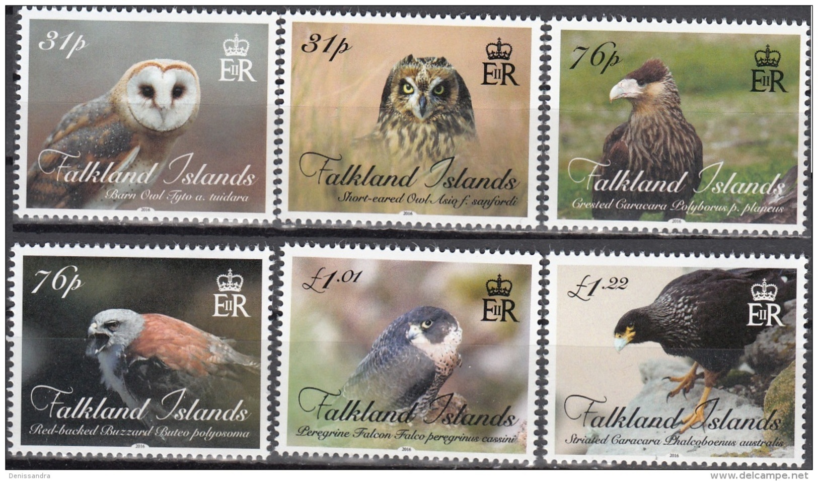 Falkland Islands 2016 Oiseaux Neuf ** - Falkland