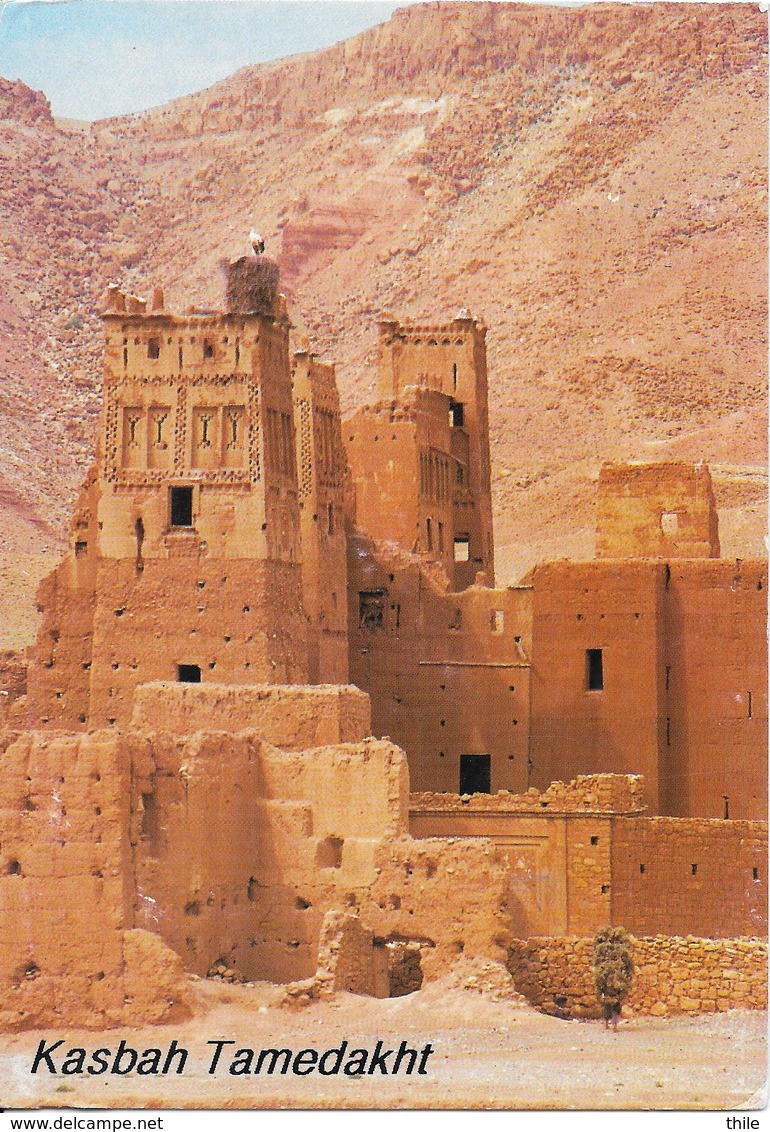 Environs De TIZI N'TICHKA - La Kasbah Tamedakht - Autres & Non Classés