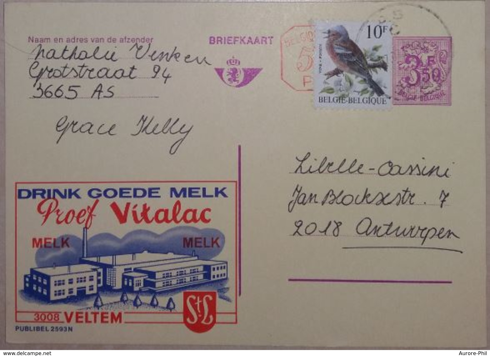 Publibel 2593 Usine Laitière, Lait (Drink Goede Melk VITALAC Veltem) - Publibels