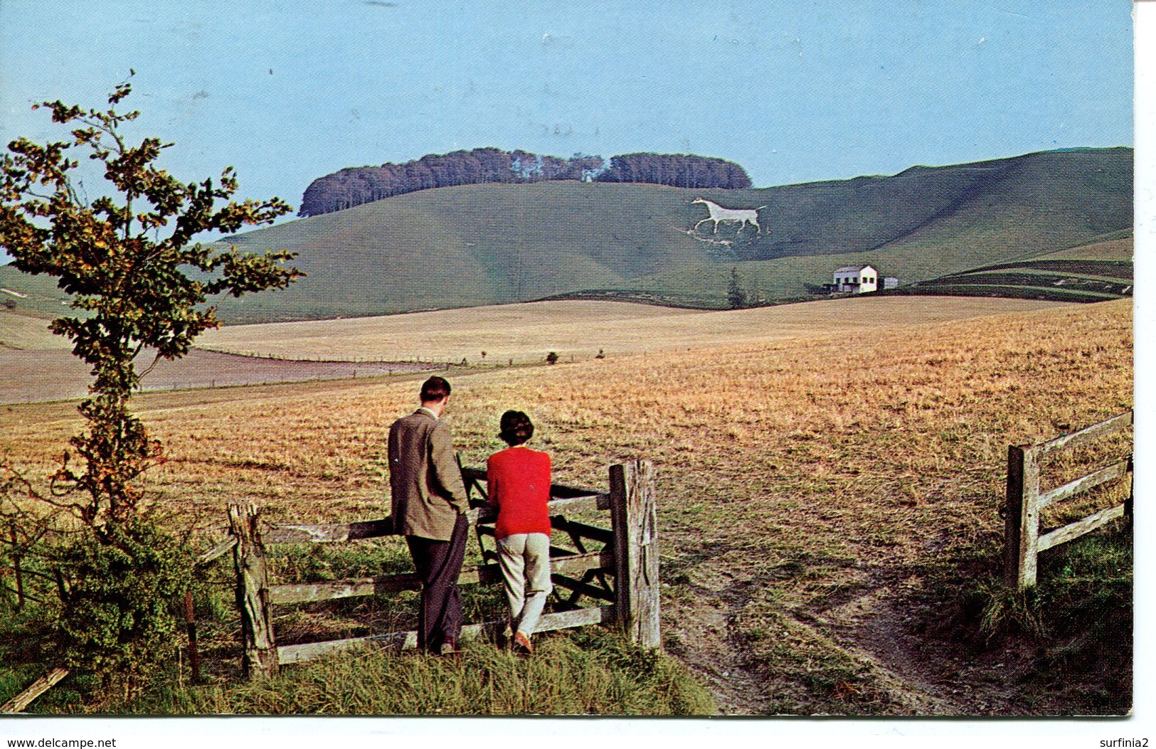 WILTS - CHERHILL- THE WHITE HORSE 1965  Wi335 - Other & Unclassified