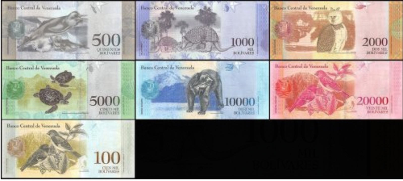 Venezuela Lot De 7 Billets 500-100 000 Bolivares Set 2007-2017 Animaux UNC - Venezuela