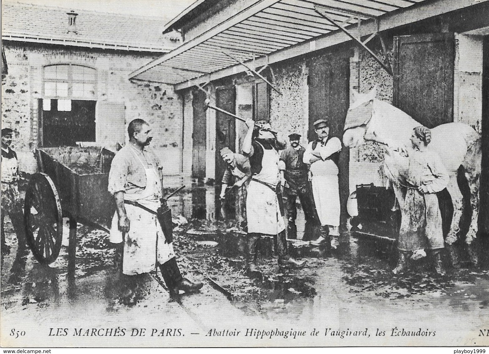 75 - PARIS - Abattoir Hippopbagique De Vaugirard - Les Échaudoirs - Cpm - Vierge - - Autres & Non Classés