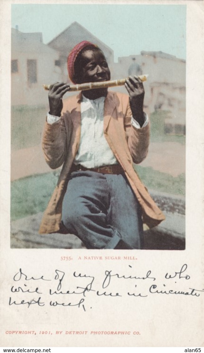 Black Americana, 'Native Sugar Mill' Black Boy Eats Sugar Cane, C1900s Vintage Detroit Photographic Co. #5755 Postcard - Black Americana