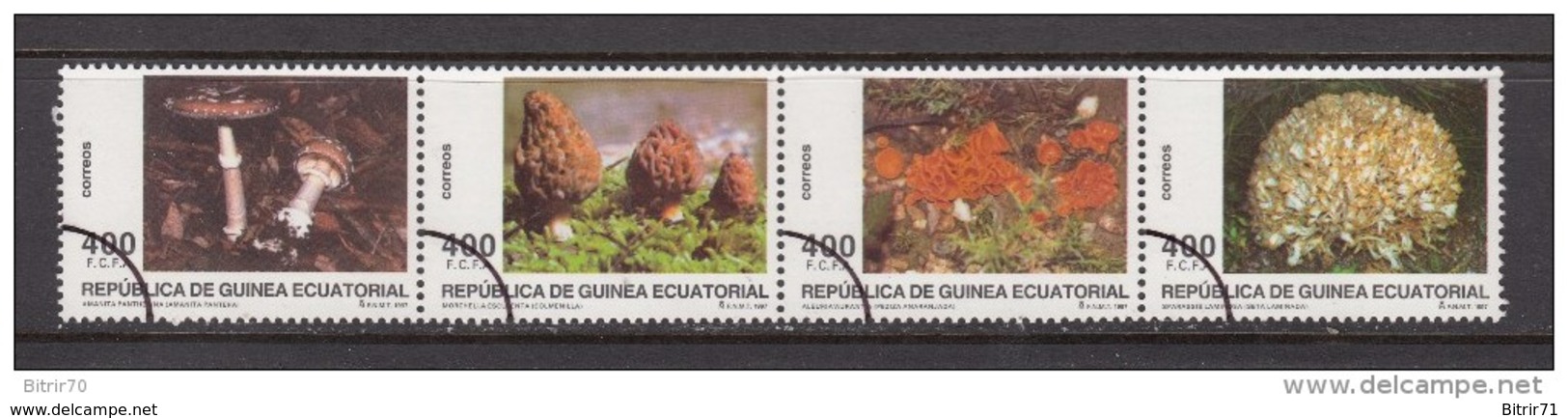 1997  MICOLOG�?A    -- MUESTRA --    / ** / - Equatorial Guinea