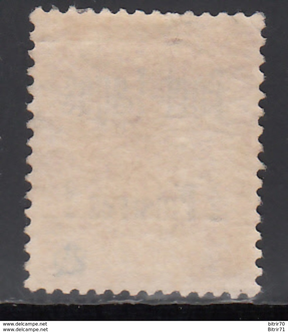1893  Yvert Nº 5  /*/ - Unused Stamps