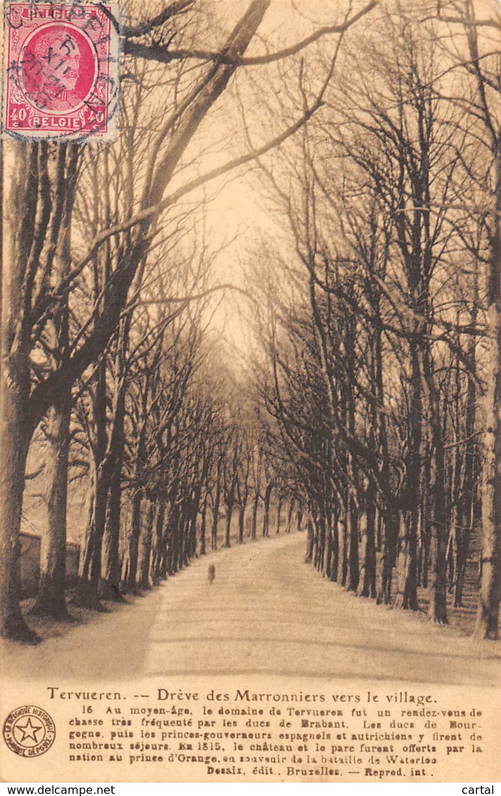 TERVUEREN - Drève Des Marronniers Vers Le Village - Tervuren