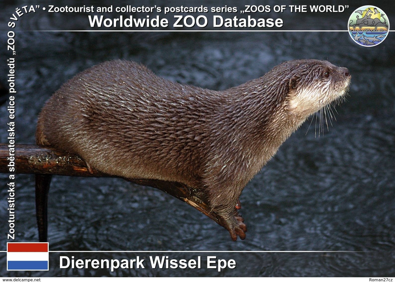 194 Dierenpark Wissel Epe († 2015), NL - Oriental Small-clawed Otter (Aonyx Cinerea) - Epe