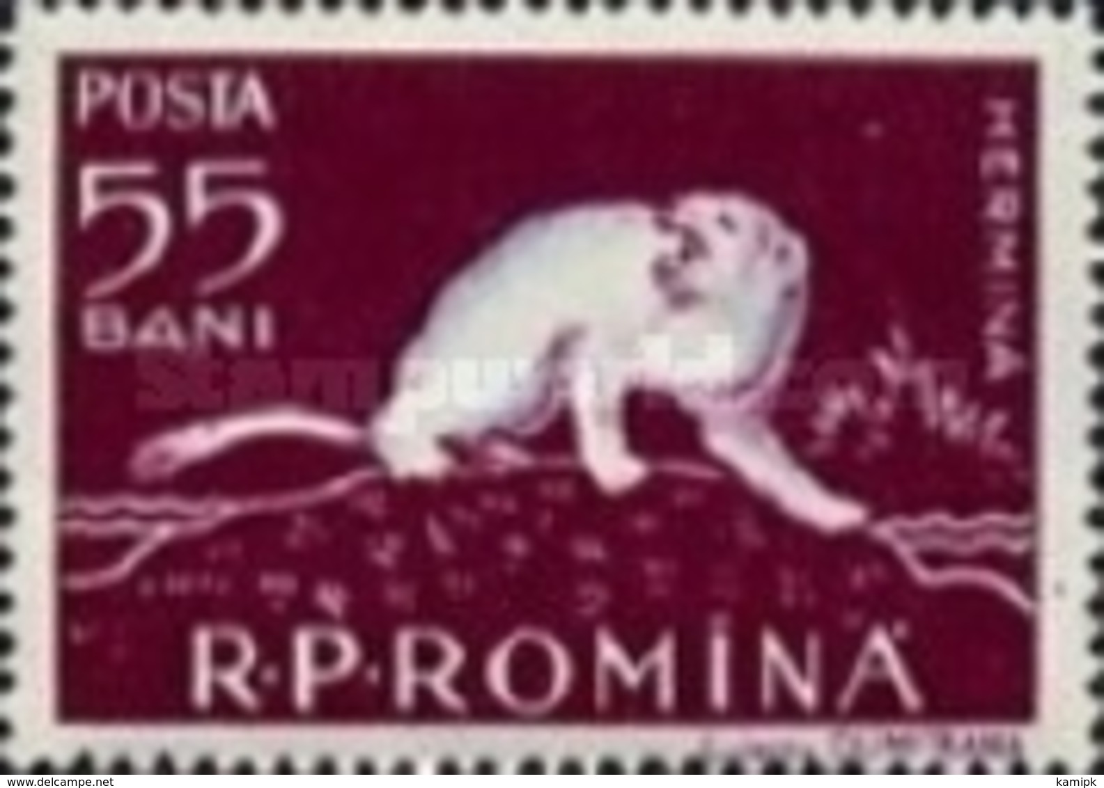 UN-USED STAMPS Romania - Birds - Danube Delta Fauna -1957 - Unused Stamps