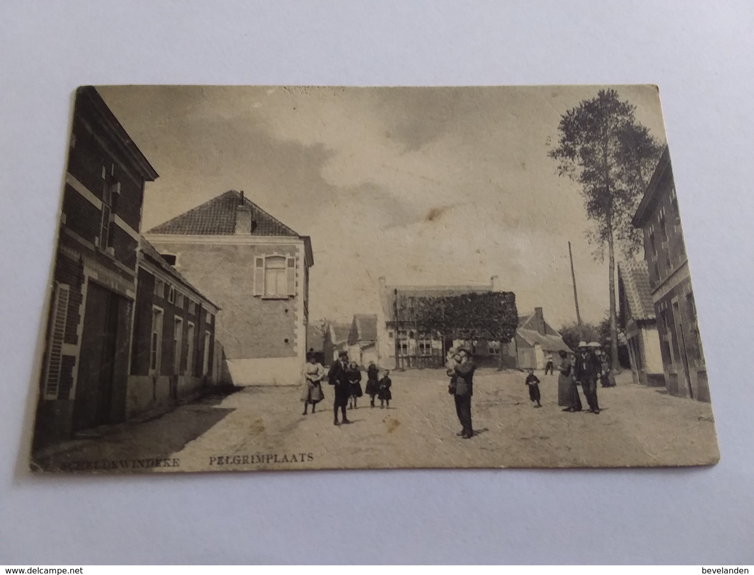 Postkaart Scheldewindeke Pelgrimplaats 1903 - Andere & Zonder Classificatie