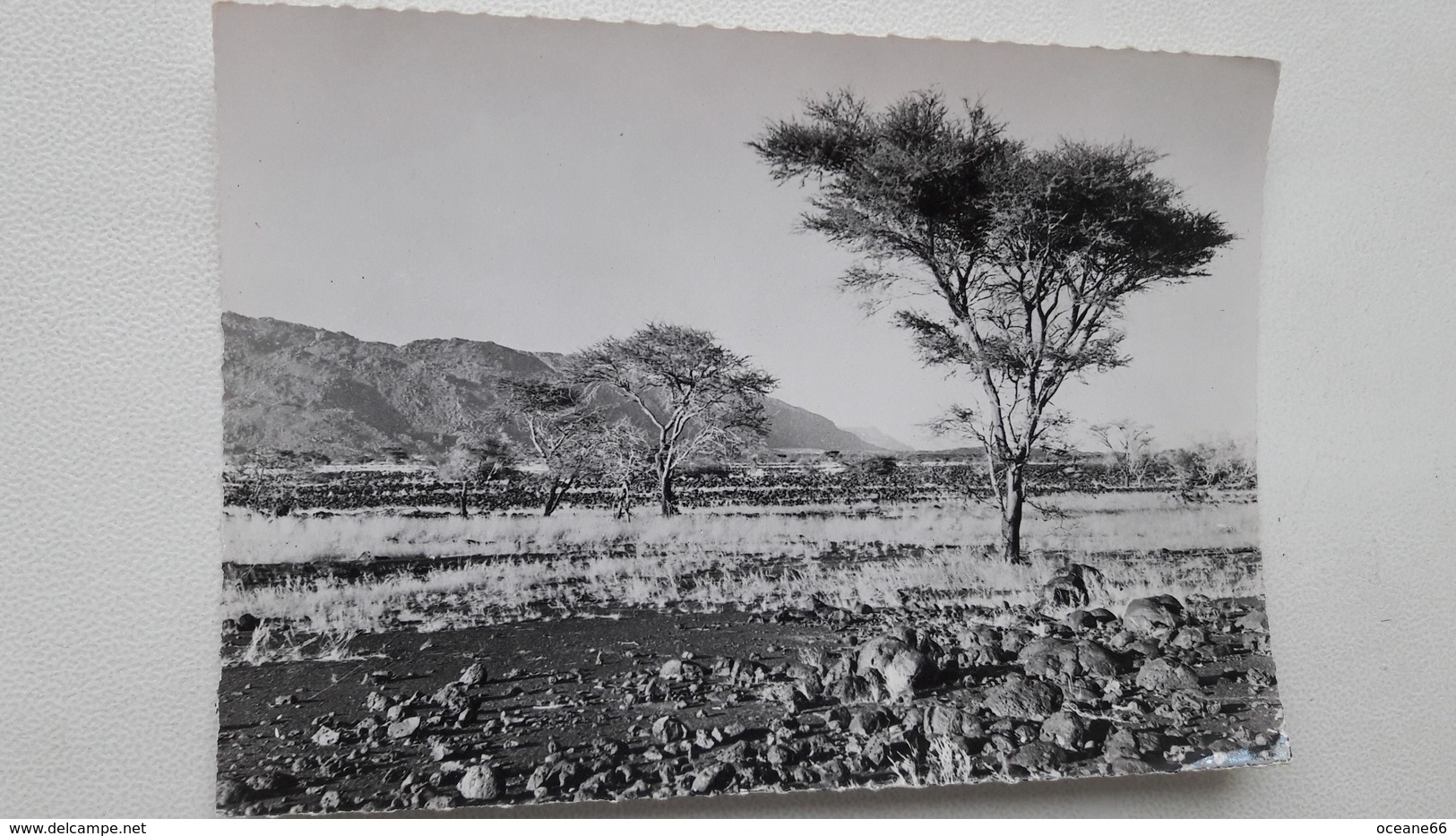 Niger Les Bagzans Très Rare - Namibië