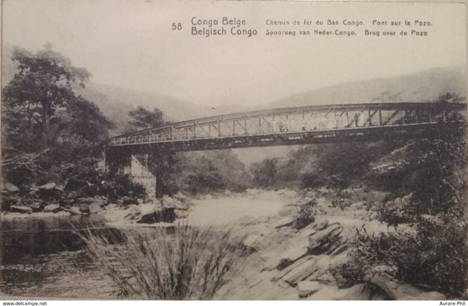 Congo Belge - Entier Postal Nr. 58 Chemin De Fer Du Bas Congo Pont Sur La Pozo - Entiers Postaux