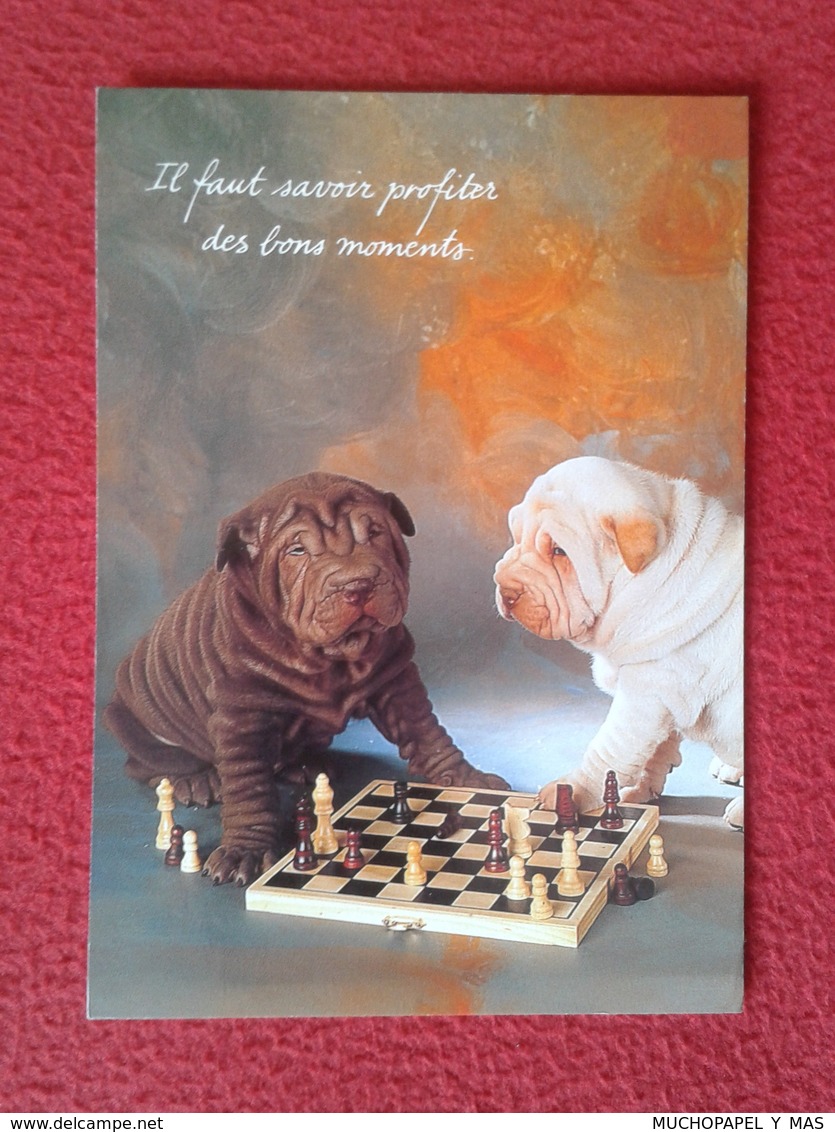 TARJETA POSTAL POST CARD CARTE POSTALE PERROS JUGANDO AL AJEDREZ DOG PLAYING CHESS CHIENS JOUANT AUX ÉCHECS VER FOTOS - Perros