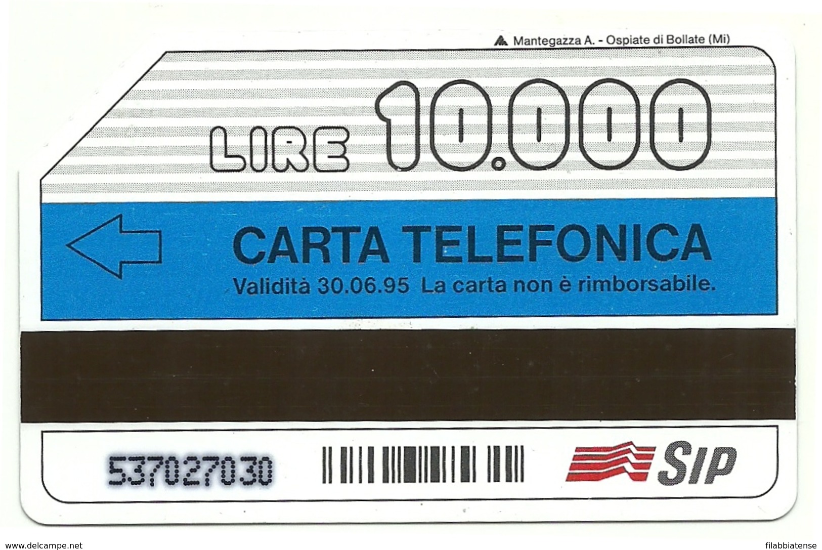 Italia - Tessera Telefonica Da 10.000 Lire N. 214 - Compagna Di Tutti I Giorni - Pubbliche Ordinarie