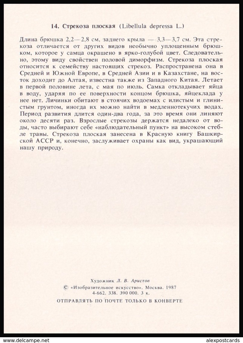 DRAGONFLY - Libellula Depressa L. Artist L. Aristov. Unused Postcard (USSR, 1987) - Insecten